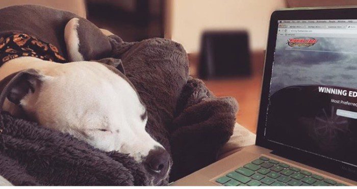 Working Remotely 