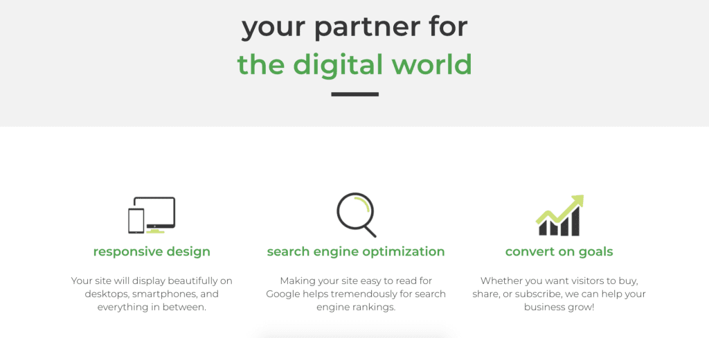 Promotional image with the text "your partner for the digital world." Below are three icons with captions: "responsive design," "search engine optimization," and "writing effective web copy" to help you convert on goals.