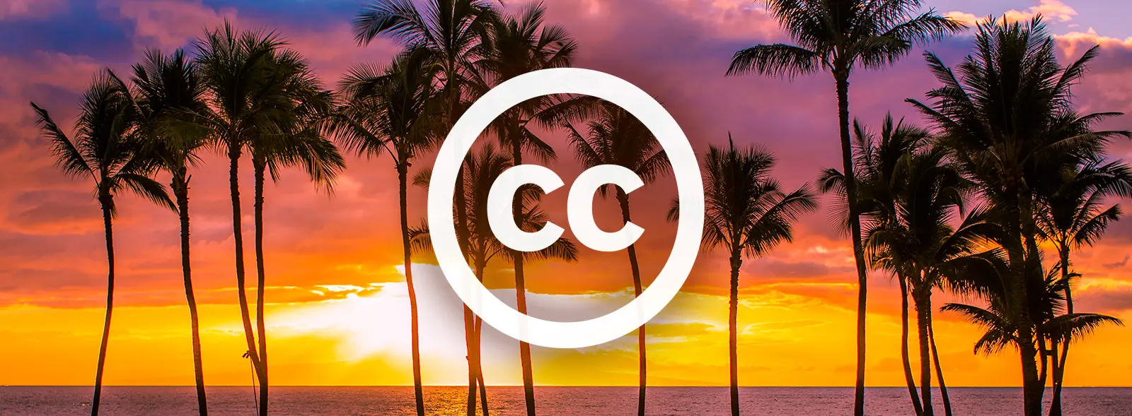 Using Creative Commons Images - The Complete Guide - CYBERsprout