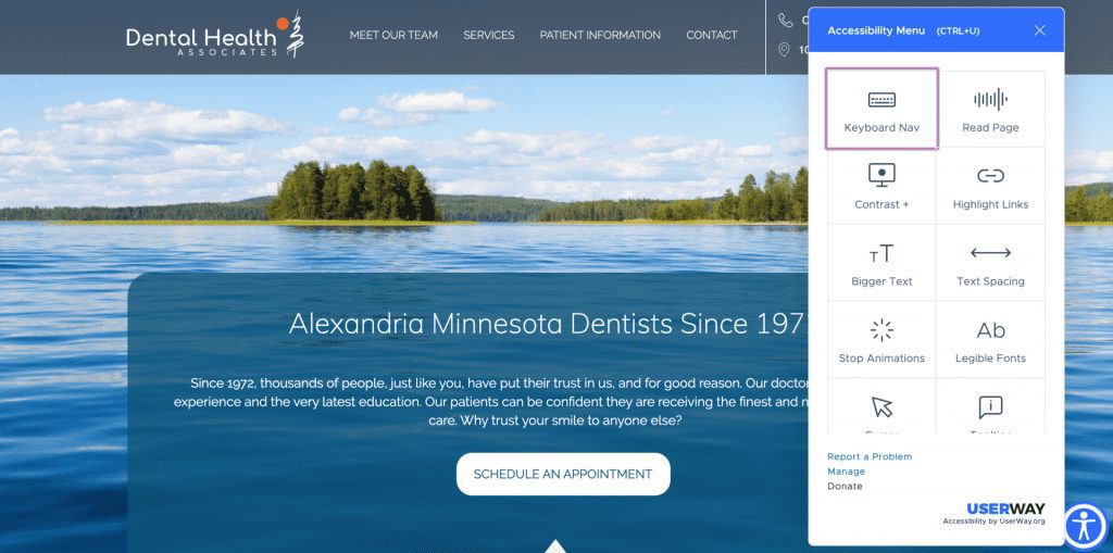 Screenshot of the Dentol Health Associates website, showcasing modern design trends with a serene lake and forest backdrop. The navbar features options like "Meet Our Team," alongside a pop-up accessibility menu offering settings for keyboard navigation, text sizing, and more. Perfectly optimized for SEO in 2022.