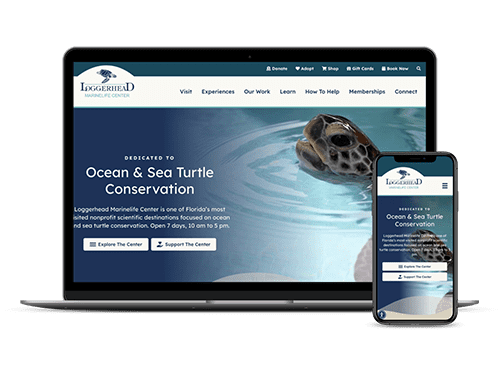 Loggerhead Marinelife Center website on a laptop and mobile phone