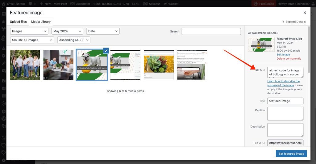featured image panel in WordPress editor showing where alt text is entered