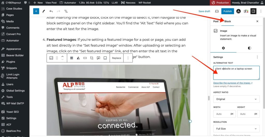 Gutenberg block panel in WordPress editor showing where alt text is entered