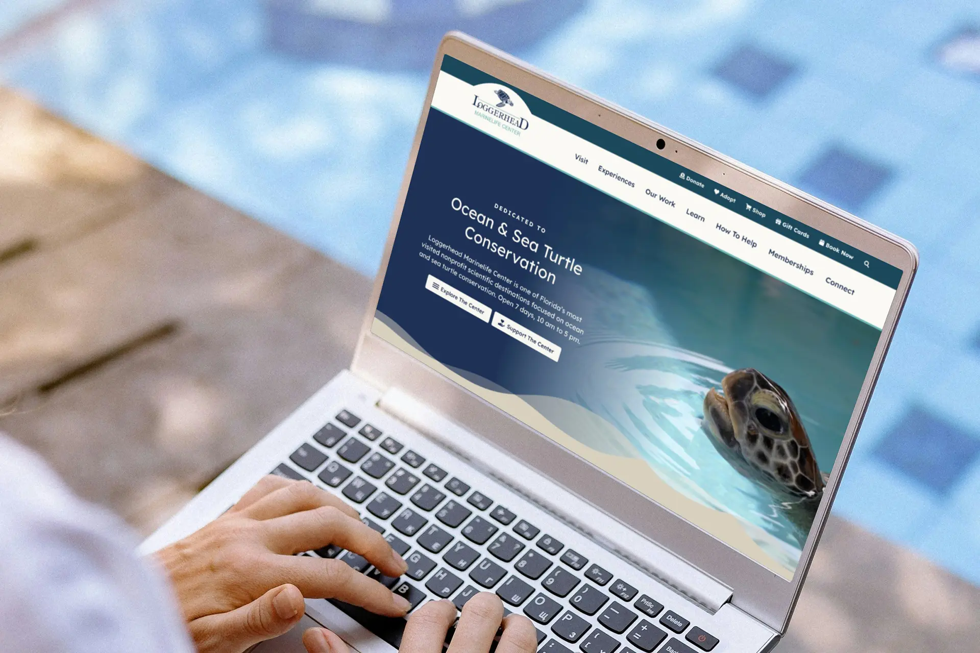 Loggerhead website on a laptop and a mobile phone